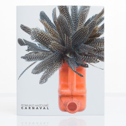 Romuald Hazoumè: Carnaval