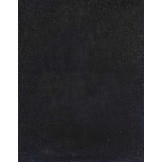 Govinda Sah 'Azad', The Shadow is Darker than Black, 2014, GS115