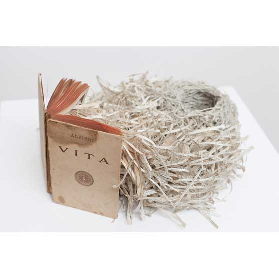 Jukhee Kwon, Vita, 2013, JK011