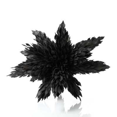 Junko Mori, Propagation Project: Multiple Textured Leaf, 2020 JUN002