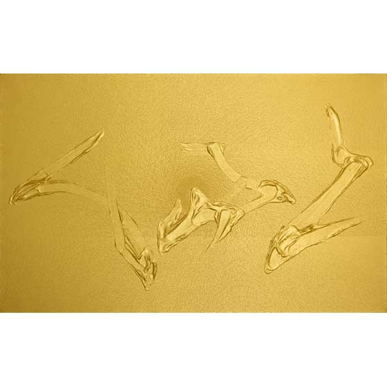 Tian Wei, Gaze, 2017, TW024